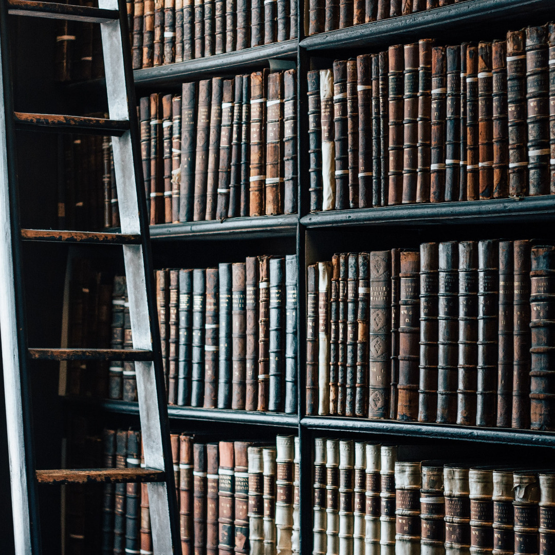 Bookshelves of oversized register books and a ladder leaning to one side